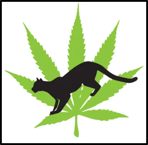 Cougar Cannabis
