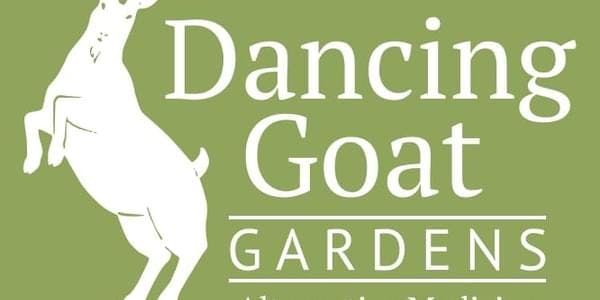 Dancing Goat Gardens
