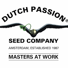 Dutch Passion Seed Company