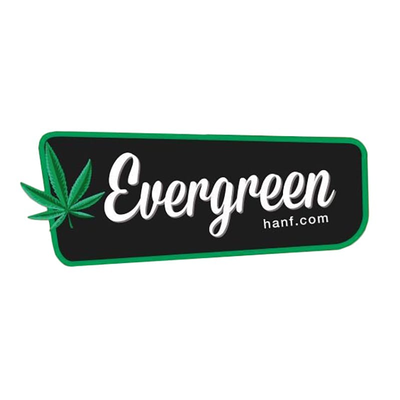 Evergreen Hanf