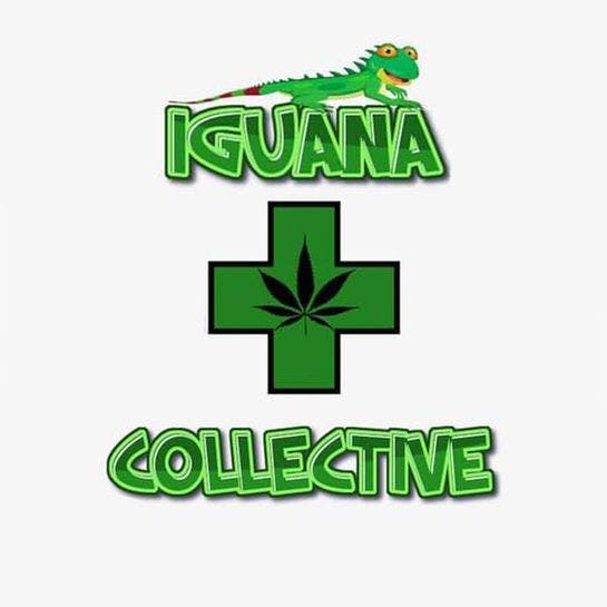 Iguana Collective