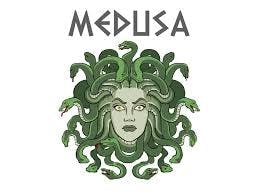 MedUsa Medical Marijuana Dispensary