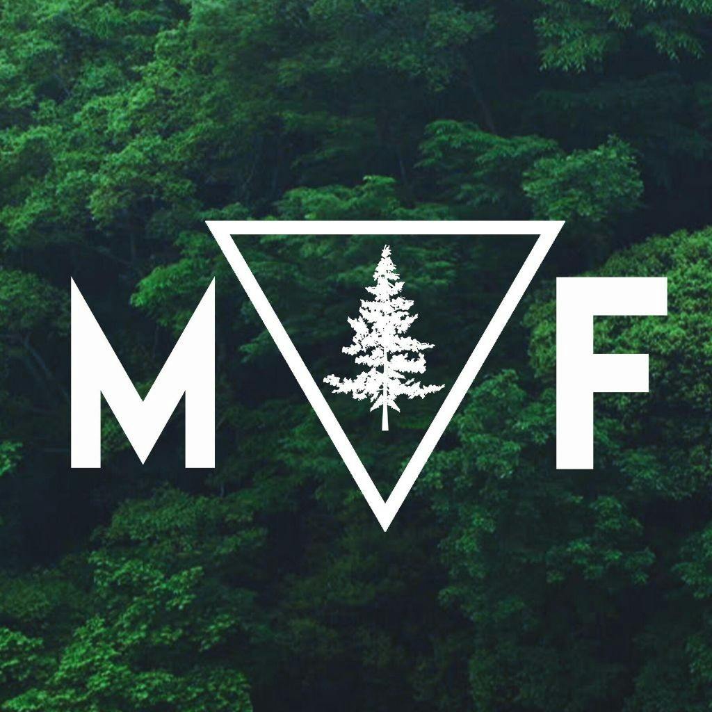 Modern Forest