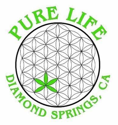Pure Life Collective