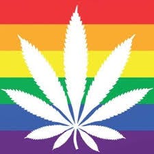 Rainbow Cannabis and Accessories