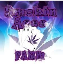 Smokin Aces Farm