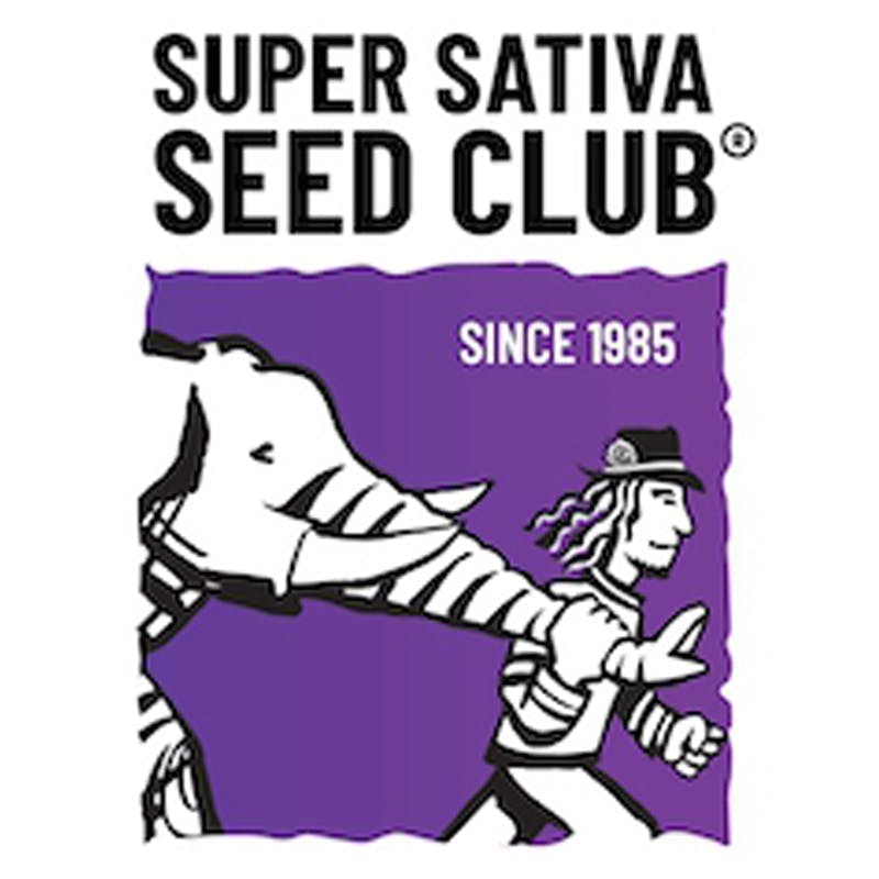 Super Sativa Seed Club 