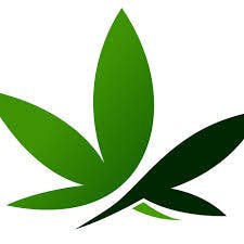 The Green Box Cannabis
