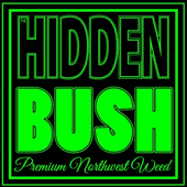 The Hidden Bush